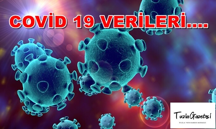 COVİD-19VERİLERİ 29.11.2020