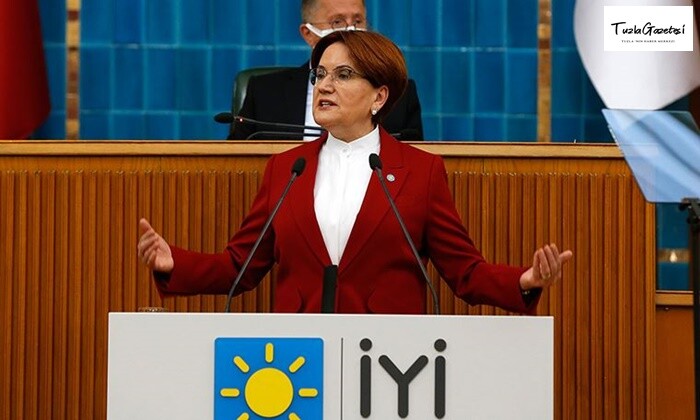 iyi parti