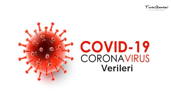 Covid 19 Verileri 12.01.2021