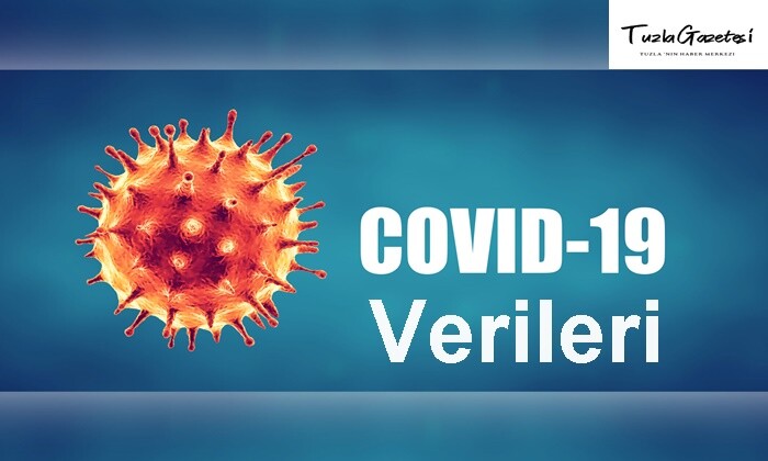 Covid 19 Verileri 26.01.2021