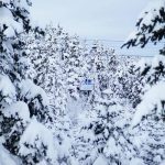 Uludağ’da karla birlikte harika görüntüler ortaya çıktı