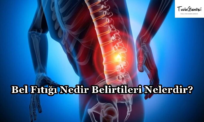 Bel Fıtığı Nedir Belirtileri Nelerdir?