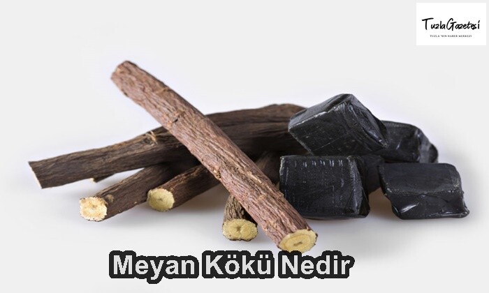 Meyan Kökü Nedir