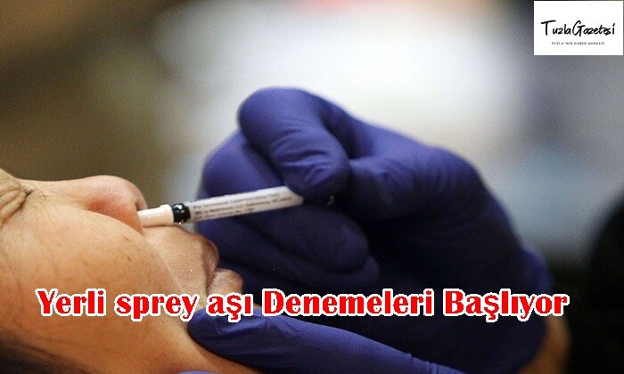 Yerli sprey aşı Denemeleri Başlıyor