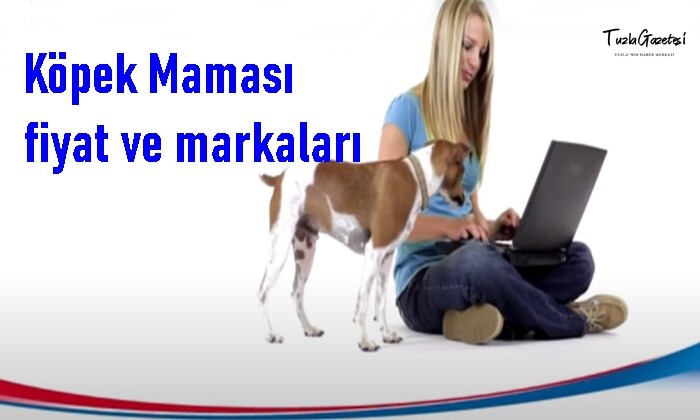 en iyi Köpek Maması