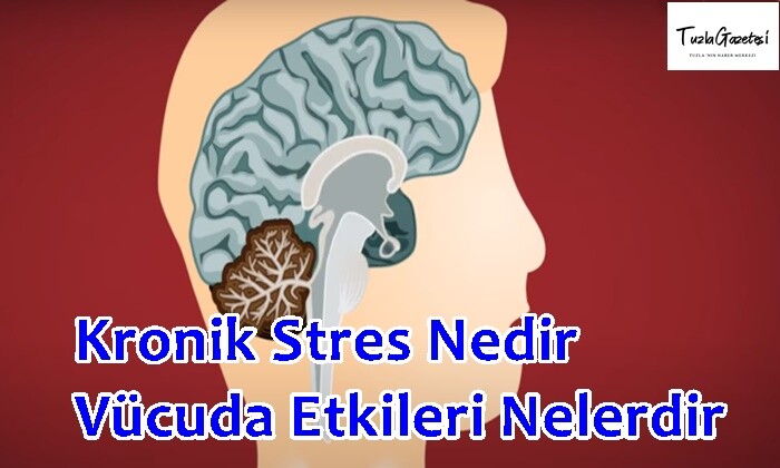 Kronik Stres Nedir Vücuda Etkileri Nelerdir