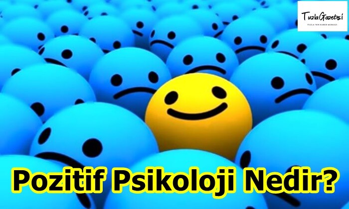 Pozitif Psikoloji Nedir