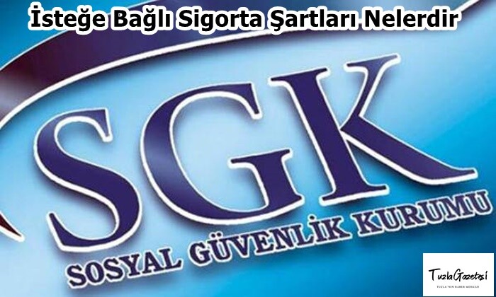 İsteğe Bağlı Sigorta Şartları Nelerdir