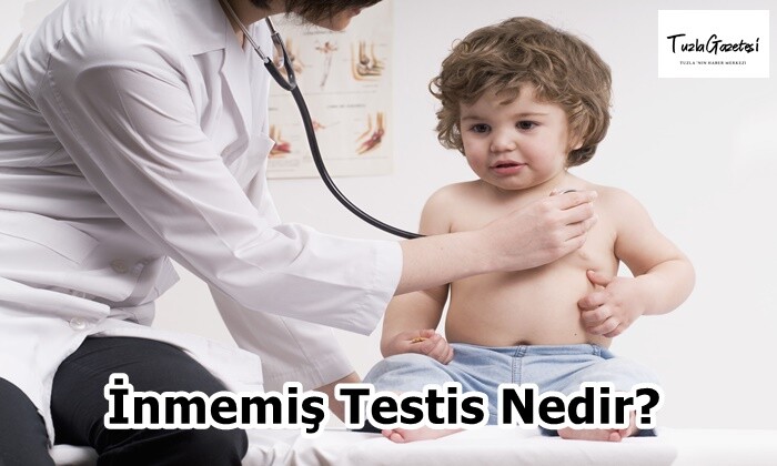 İnmemiş Testis Nedir?