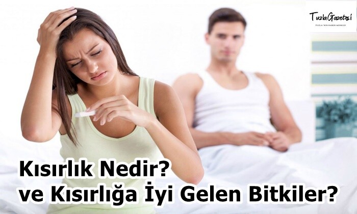 Kısırlık Nedir ve Kısırlığa İyi Gelen Bitkiler