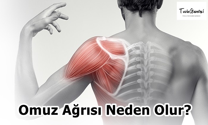 Omuz Ağrısı Neden Olur?