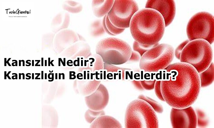 Kansızlık Nedir Kansızlığın Belirtileri Nelerdir