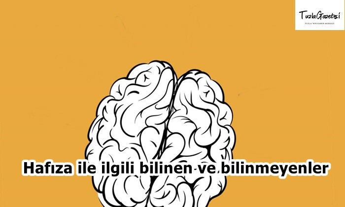 Hafıza ile ilgili bilinen ve bilinmeyenler