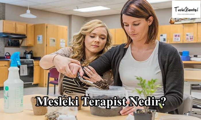 Mesleki Terapist Nedir?