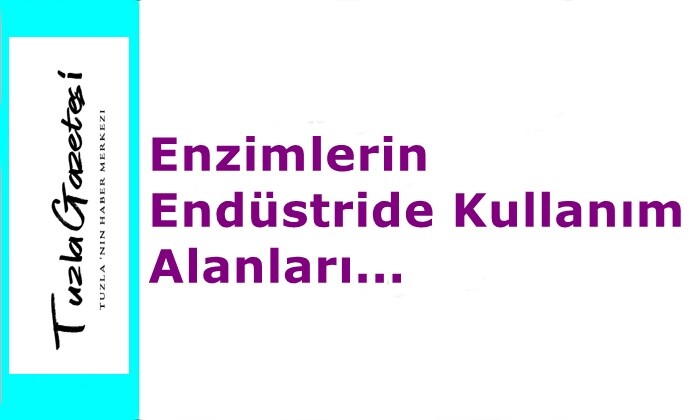 Enzimlerin Endüstride Kullanım Alanları