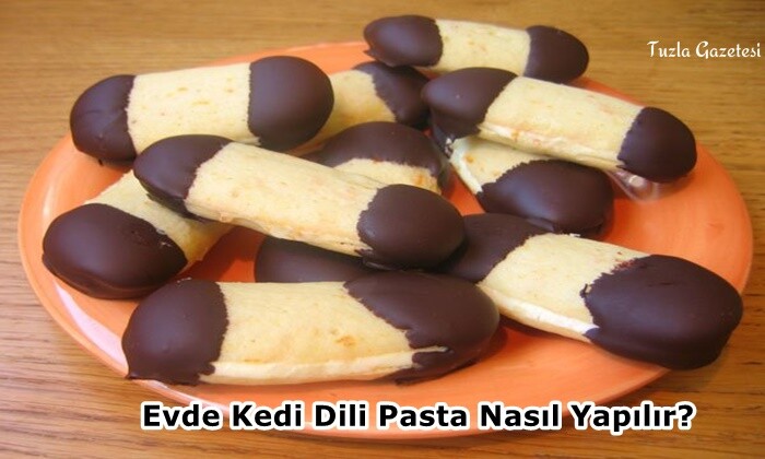 Evde Kedi Dili Pasta Nasıl Yapılır?