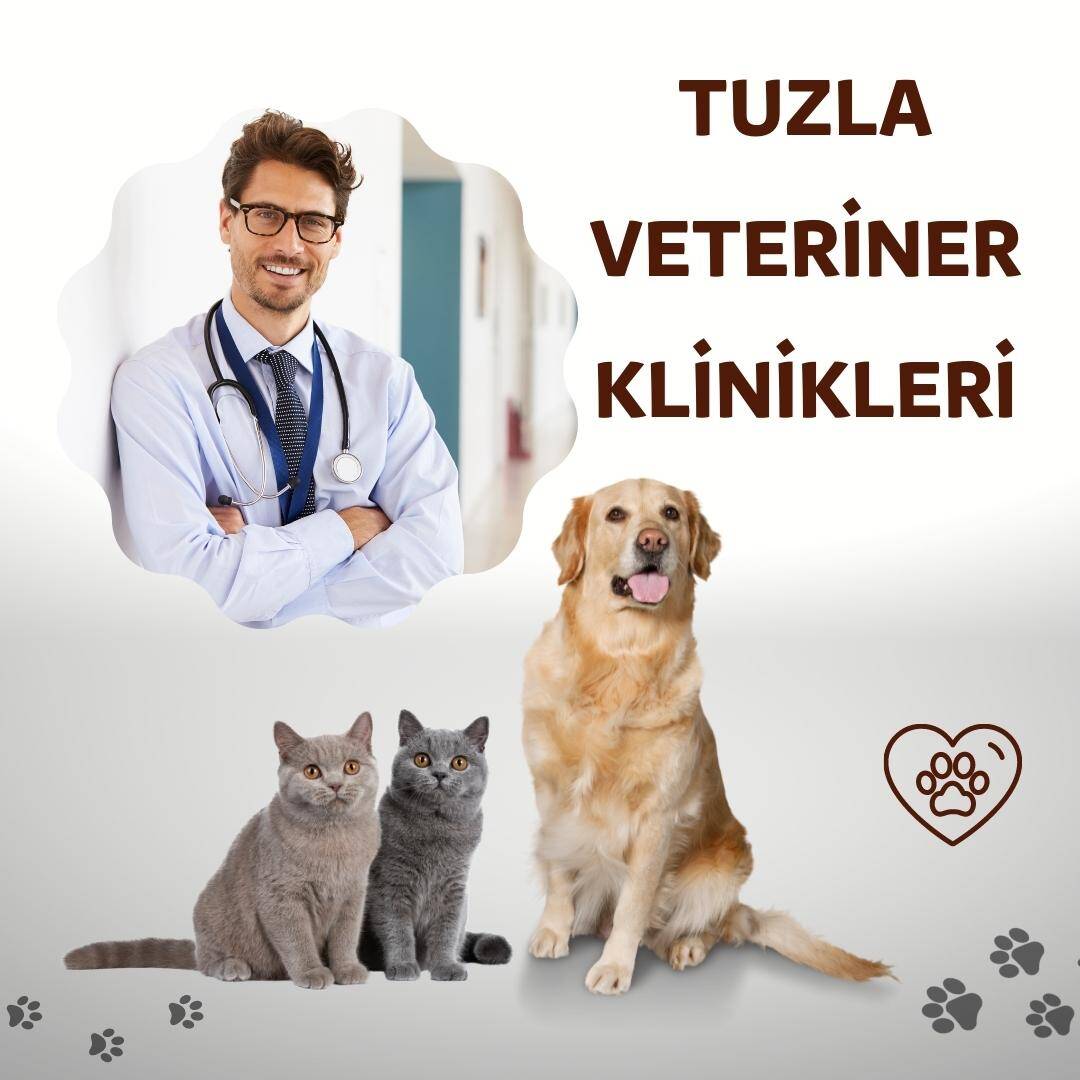 Tuzla Veteriner Klinikleri tavsiye