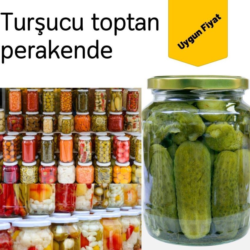 Tuzla Turşucu