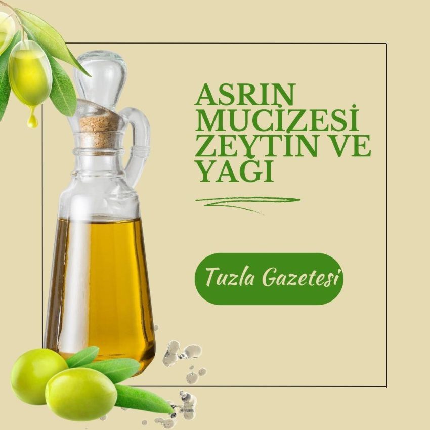 Asrın mucizesi zeytin