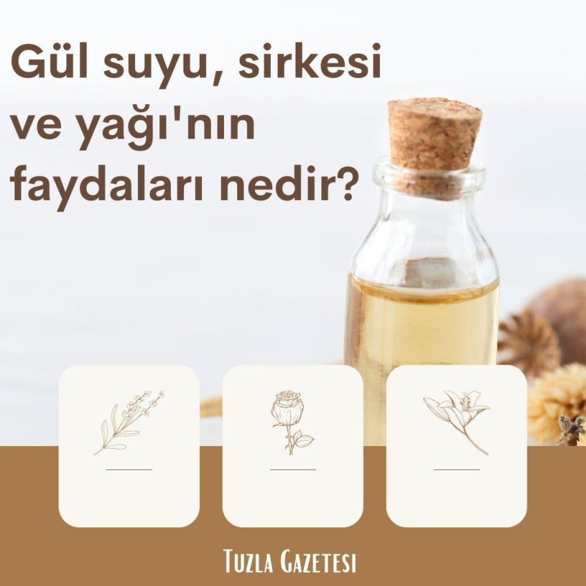 Gül suyu, sirkesi ve yağı’ nın faydaları nedir?